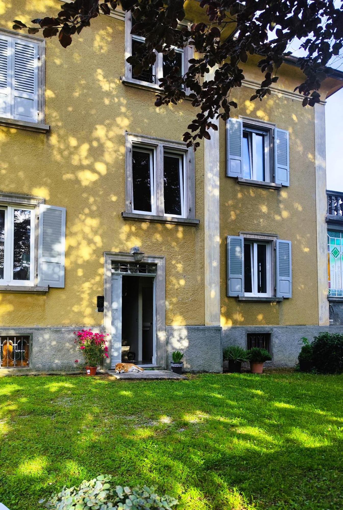 Villa Alma, Lake Como Bed&Breathe 산 페델레 인텔비 외부 사진