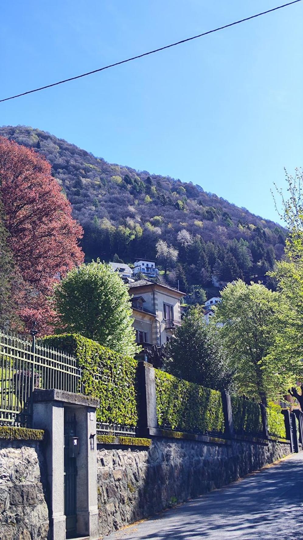 Villa Alma, Lake Como Bed&Breathe 산 페델레 인텔비 외부 사진